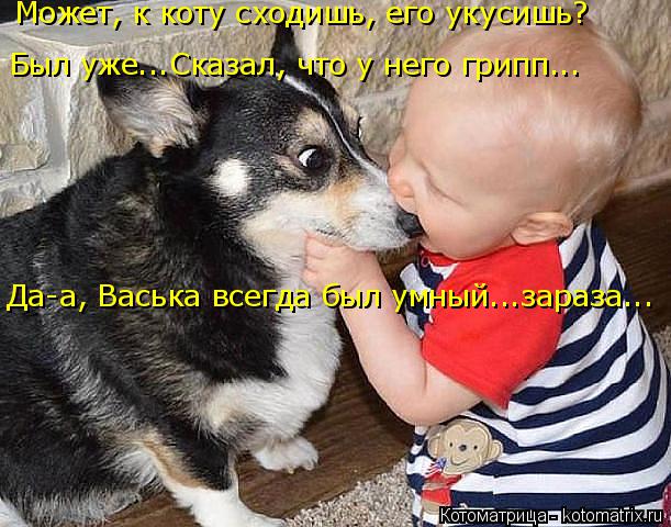 Котоматрица: Может, к коту сходишь, его укусишь? Был уже...Сказал, что у него грипп... Да-а, Васька всегда был умный...зараза...