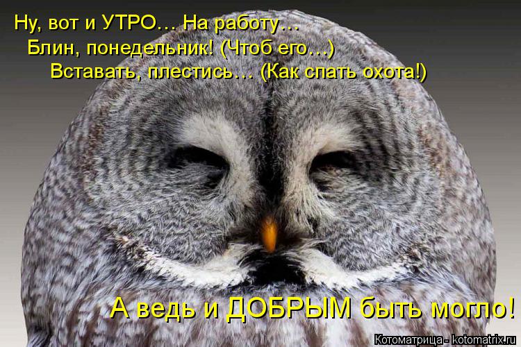 Ну, вот и УТРО… На работу… Блин, понедельник! (Чтоб его…) Вставать, плестись… (Как спать охота!) А ве... Котоматрица: Ну, вот и УТРО… На работу… Блин, понедельник! (Чтоб его…) Вставать, плестись… (Как спать охота!) А ведь и ДОБРЫМ быть могло!