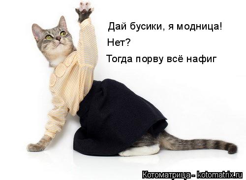 Котоматрица: Дай бусики, я модница! Нет? Нет? Тогда порву всё нафиг