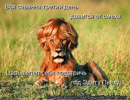 Вся саванна третий день давится от смеха: Царь велел себя подстричь под Эдиту Пьеху!... Котоматрица: Вся саванна третий день давится от смеха: Царь велел себя подстричь под Эдиту Пьеху!