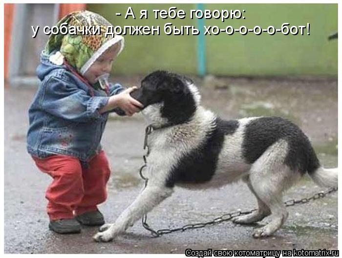 - А я тебе говорю: у собачки должен быть хо-о-о-о-о-бот!... Котоматрица: - А я тебе говорю: у собачки должен быть хо-о-о-о-о-бот!