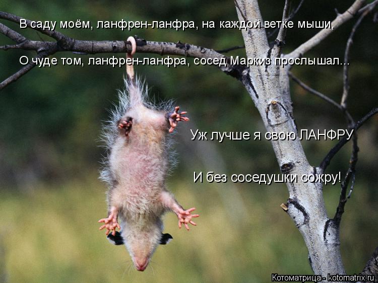 Котоматрица: В саду моём, ланфрен-ланфра, на каждой ветке мыши, Уж лучше я свою ЛАНФРУ И без соседушки сожру! О чуде том, ланфрен-ланфра, сосед Маркиз просл