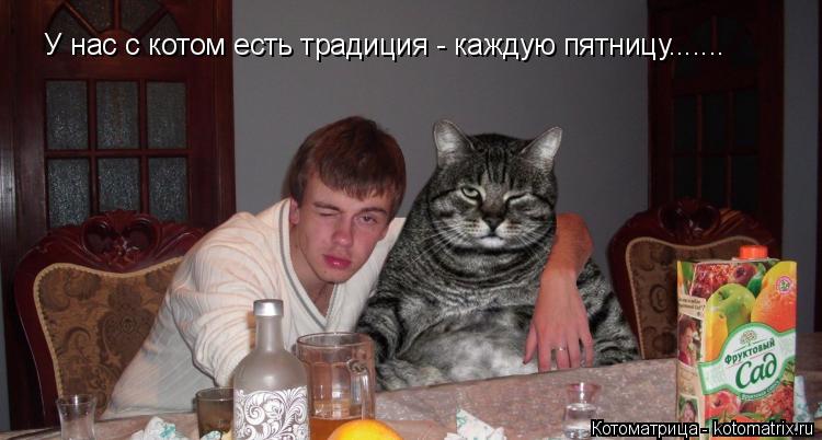 Котоматрица: У нас с котом есть традиция - каждую пятницу.......