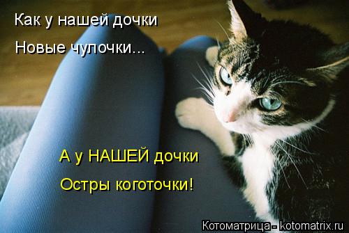 Котоматрица: Как у нашей дочки Новые чулочки... А у НАШЕЙ дочки Остры коготочки!