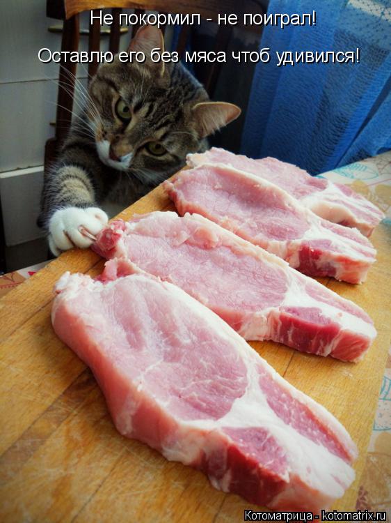 Котоматрица: Не покормил - не поиграл! Оставлю его без мяса чтоб удивился!