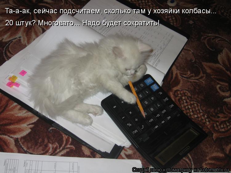 Котоматрица: Та-а-ак, сейчас подсчитаем, сколько там у хозяйки колбасы... 20 штук? Многовато... Надо будет сократить!