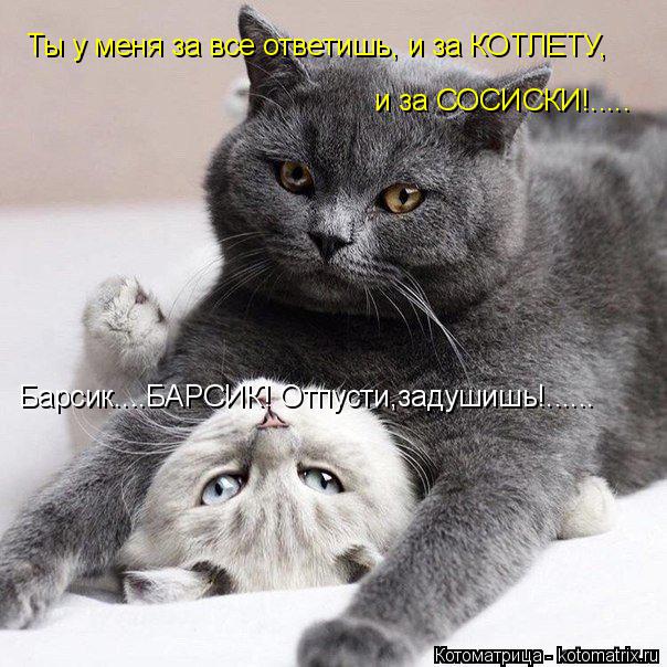 Котоматрица: Барсик....БАРСИК! Отпусти,задушишь!...... Ты у меня за все ответишь, и за КОТЛЕТУ,  и за СОСИСКИ!.....