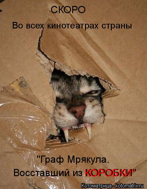 СКОРО Во всех кинотеатрах страны "Граф Мрякула. Восставший из КОРОБКИ" КОРОБКИ"... Котоматрица: СКОРО Во всех кинотеатрах страны "Граф Мрякула. Восставший из КОРОБКИ" КОРОБКИ"