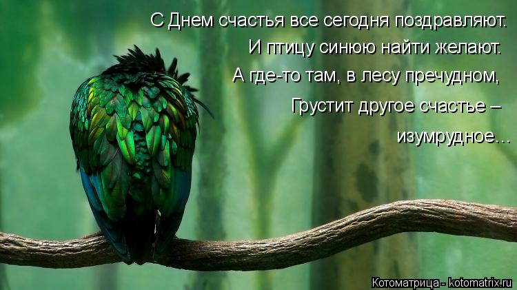 Котоматрица: С Днем счастья все сегодня поздравляют. И птицу синюю найти желают. А где-то там, в лесу пречудном, Грустит другое счастье –  изумрудное…