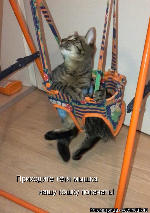 Приходите тётя мышка нашу кошку покачать!... Котоматрица: Приходите тётя мышка нашу кошку покачать!