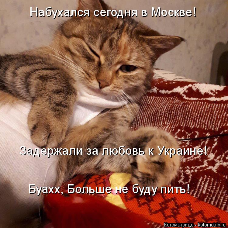 Набухался сегодня в Москве! Задержали за любовь к Украине! Буахх, Больше не буду пить!... Котоматрица: Набухался сегодня в Москве! Задержали за любовь к Украине! Буахх, Больше не буду пить!