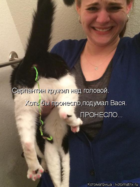 Котоматрица: Серпантин кружил над головой. Хоть бы пронесло,подумал Вася. ПРОНЕСЛО...