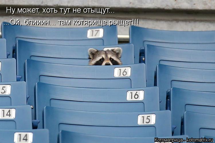 Котоматрица: Ну может, хоть тут не отыщут... ...Ой, блииин... там котярище рыщет!!!