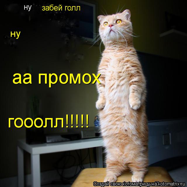 Котоматрица: ну забей голл ну гооолл!!!!! аа промох