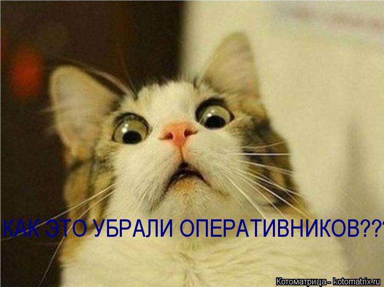 КАК ЭТО УБРАЛИ ОПЕРАТИВНИКОВ???????... Котоматрица: КАК ЭТО УБРАЛИ ОПЕРАТИВНИКОВ???????