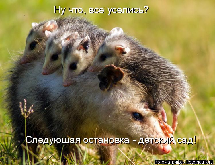 Ну что, все уселись? Следующая остановка - детский сад!... Котоматрица: Ну что, все уселись? Следующая остановка - детский сад!