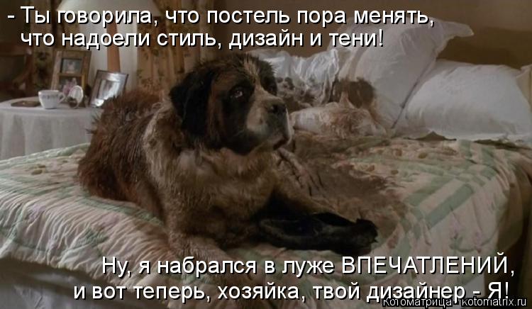 - Ты говорила, что постель пора менять, что надоели стиль, дизайн и тени! Ну, я набрался в луже ВПЕЧ... Котоматрица: - Ты говорила, что постель пора менять, что надоели стиль, дизайн и тени! Ну, я набрался в луже ВПЕЧАТЛЕНИЙ, и вот теперь, хозяйка, твой дизайн