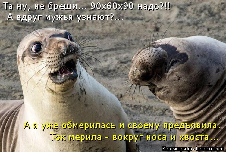 Та ну, не бреши... 90х60х90 надо?!! А вдруг мужья узнают?... А я уже обмерилась и своему предъявила. ... Котоматрица: Та ну, не бреши... 90х60х90 надо?!! А вдруг мужья узнают?... А я уже обмерилась и своему предъявила. Ток мерила - вокруг носа и хвоста...