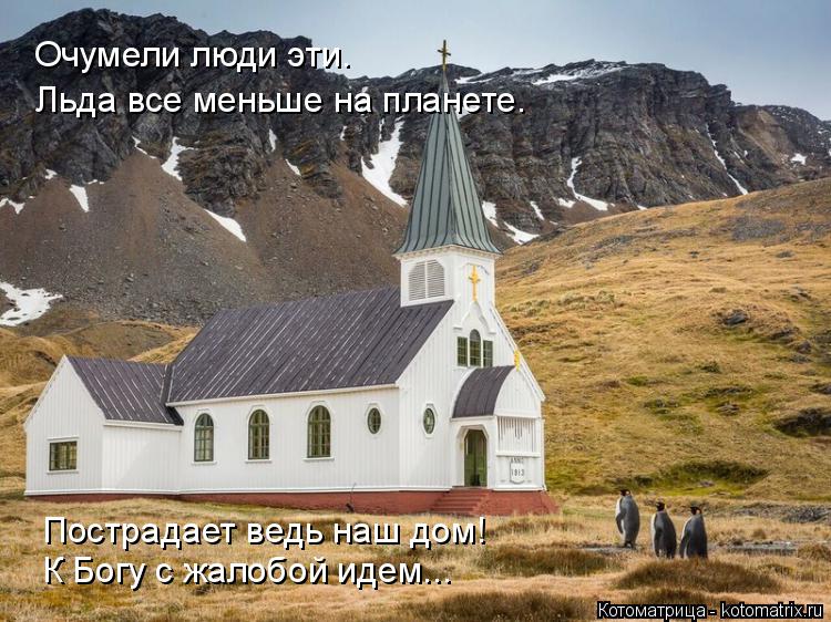 Очумели люди эти. Льда все меньше на планете. К Богу с жалобой идем... Пострадает ведь наш дом!... Котоматрица: Очумели люди эти. Льда все меньше на планете. К Богу с жалобой идем... Пострадает ведь наш дом!