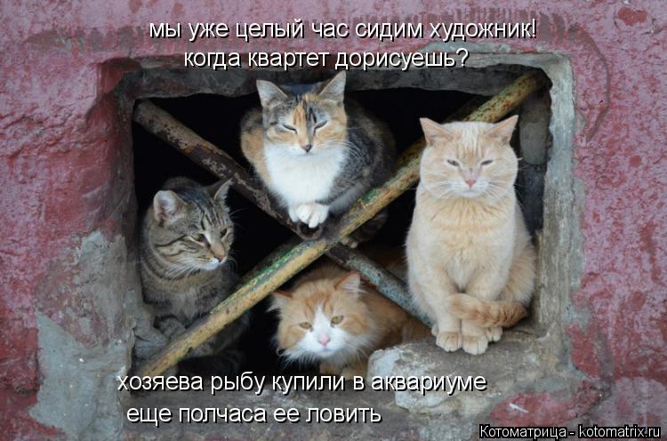 мы уже целый час сидим художник! когда квартет дорисуешь? хозяева рыбу купили в аквариуме еще полчаса... Котоматрица: мы уже целый час сидим художник! когда квартет дорисуешь? хозяева рыбу купили в аквариуме еще полчаса ее ловить