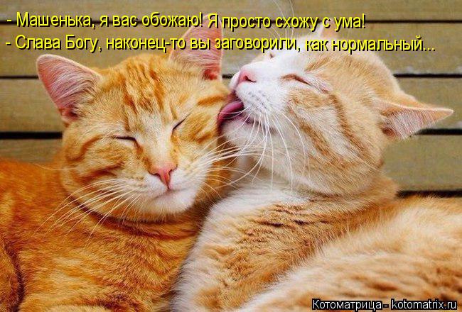 - Машенька, я вас обожаю! Я просто схожу с ума! - Слава Богу, наконец-то вы заговорили, как нормаль... Котоматрица: - Машенька, я вас обожаю! Я просто схожу с ума! - Слава Богу, наконец-то вы заговорили, как нормальный...