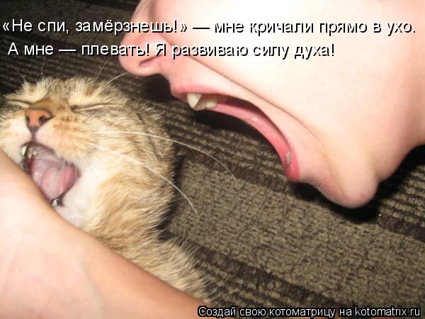 А мне — плевать! Я развиваю силу духа! «Не спи, замёрзнешь!» — мне кричали прямо в ухо.... Котоматрица: А мне — плевать! Я развиваю силу духа! «Не спи, замёрзнешь!» — мне кричали прямо в ухо.