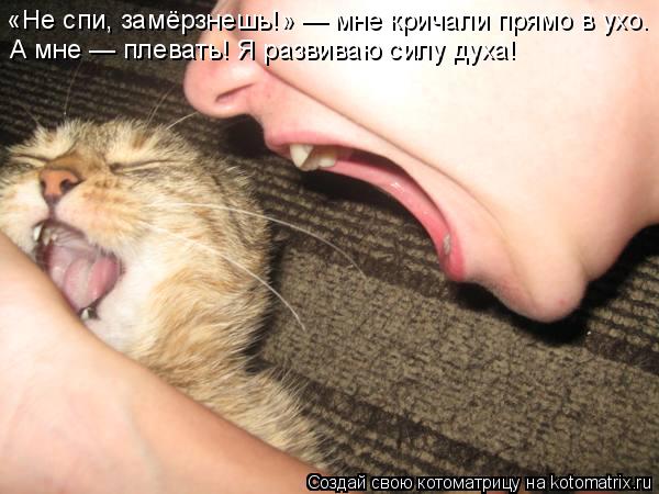 «Не спи, замёрзнешь!» — мне кричали прямо в ухо. А мне — плевать! Я развиваю силу духа!... Котоматрица: «Не спи, замёрзнешь!» — мне кричали прямо в ухо. А мне — плевать! Я развиваю силу духа!