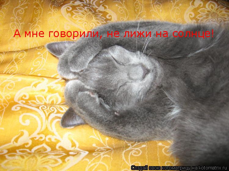 Котоматрица: А мне говорили, не лижи на солнце!