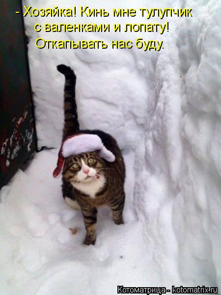 - Хозяйка! Кинь мне тулупчик с валенками и лопату! Откапывать нас буду.... Котоматрица: - Хозяйка! Кинь мне тулупчик с валенками и лопату! Откапывать нас буду.