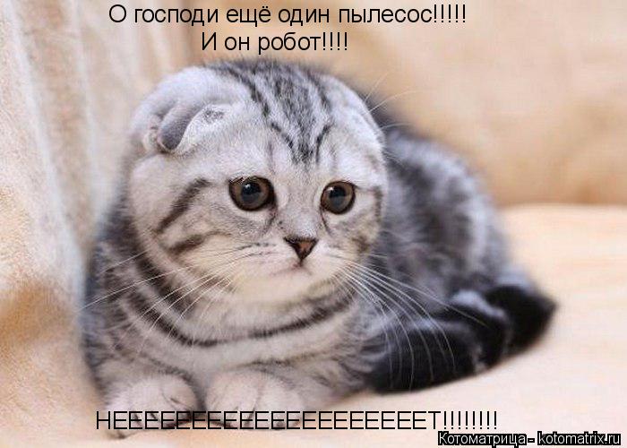 Котоматрица: О господи ещё один пылесос!!!!! И он робот!!!! НЕЕЕЕЕЕЕЕЕЕЕЕЕЕЕЕЕЕЕЕТ!!!!!!!!