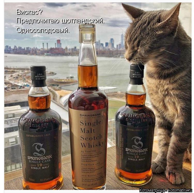 Котоматрица: Вискас? Предпочитаю шотландский. Односолодовый.