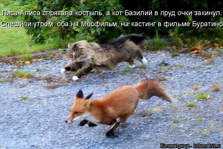 Котоматрица: Лиса Алиса спрятала костыль, а кот Базилий в пруд очки закинул. Спешили утром  оба на Мосфильм, на кастинг в фильме Буратино!