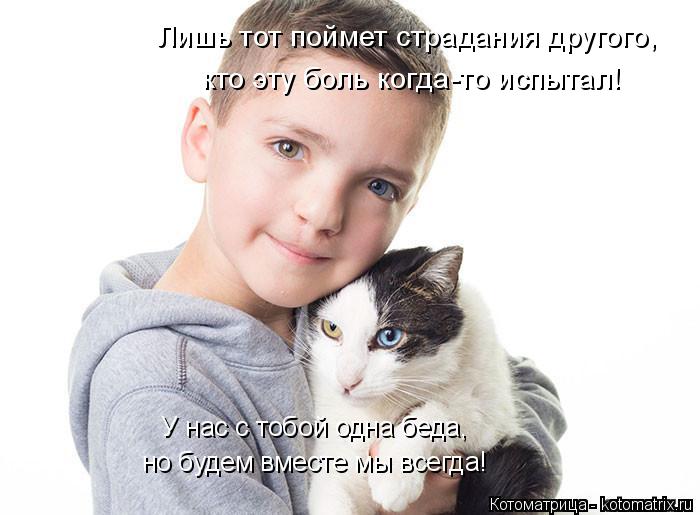 Котоматрица: Лишь тот поймет страдания другого,  кто эту боль когда-то испытал! У нас с тобой одна беда, но будем вместе мы всегда!