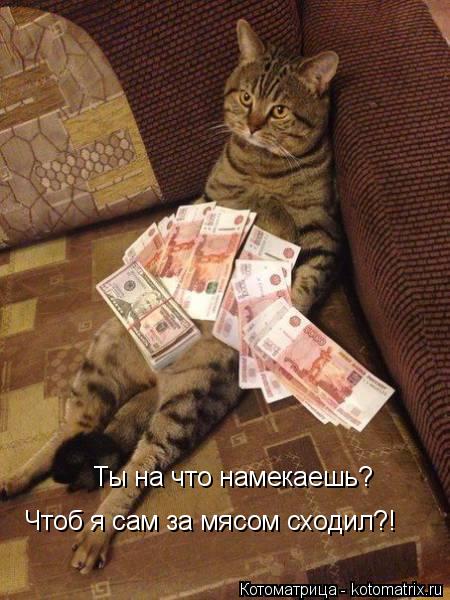 Ты на что намекаешь? Чтоб я сам за мясом сходил?!... Котоматрица: Ты на что намекаешь? Чтоб я сам за мясом сходил?!