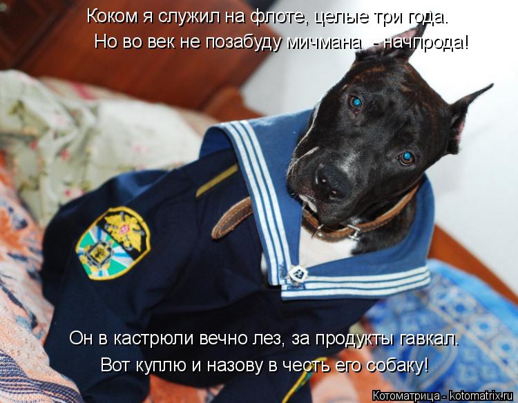 Коком я служил на флоте, целые три года. Но во век не позабуду мичмана - начпрода! Он в кастрюли веч... Котоматрица: Коком я служил на флоте, целые три года. Но во век не позабуду мичмана - начпрода! Он в кастрюли вечно лез, за продукты гавкал. Вот куплю и наз