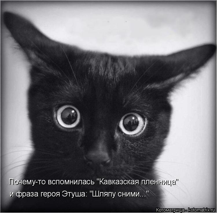 и фраза героя Этуша: "Шляпу сними..." Почему-то вспомнилась "Кавказская пленница"... Котоматрица: и фраза героя Этуша: "Шляпу сними..." Почему-то вспомнилась "Кавказская пленница"