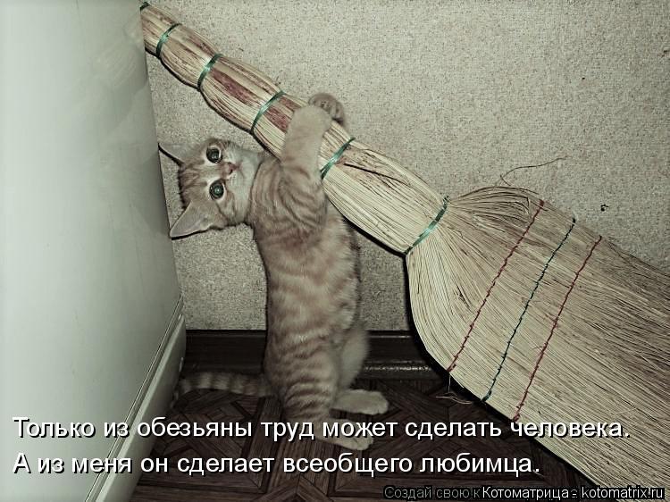Только из обезьяны труд может сделать человека. А из меня он сделает всеобщего любимца.... Котоматрица: Только из обезьяны труд может сделать человека. А из меня он сделает всеобщего любимца.