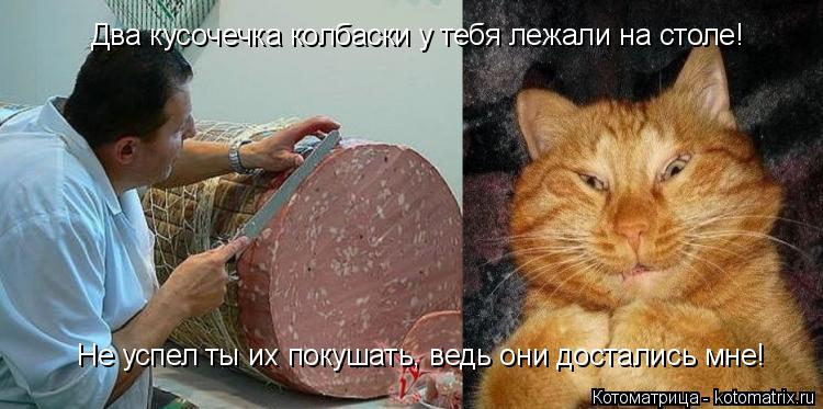 Два кусочечка колбаски у тебя лежали на столе! Не успел ты их покушать, ведь они достались мне!... Котоматрица: Два кусочечка колбаски у тебя лежали на столе! Не успел ты их покушать, ведь они достались мне!