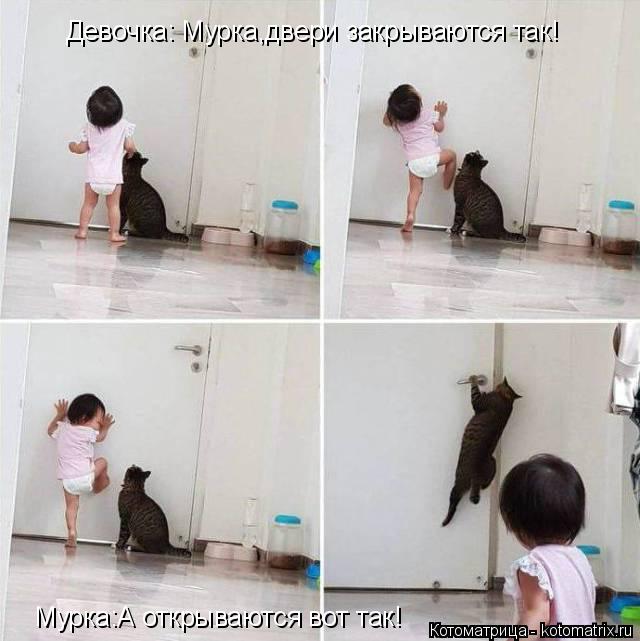 Девочка: Мурка,двери закрываются так! Мурка:А открываются вот так!... Котоматрица: Девочка: Мурка,двери закрываются так! Мурка:А открываются вот так!