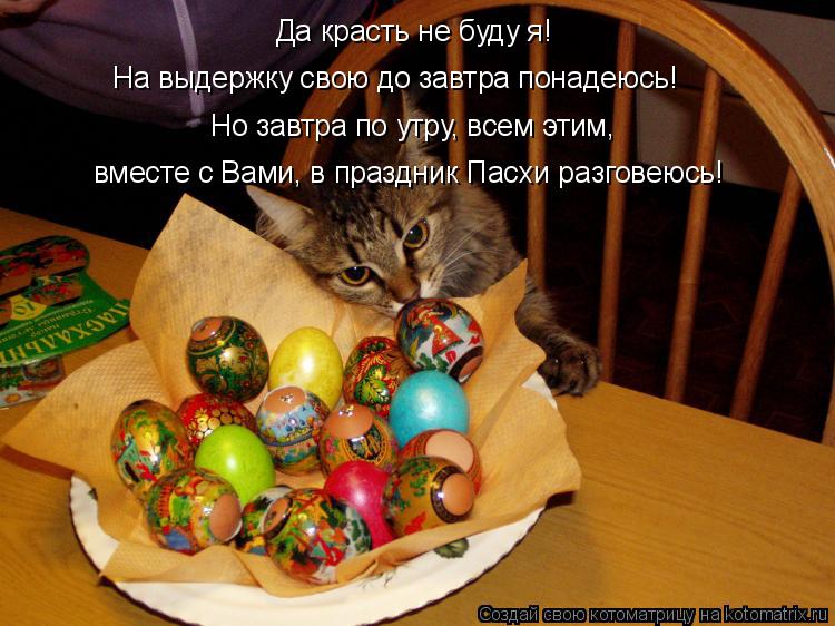 Да красть не буду я! На выдержку свою до завтра понадеюсь! Но завтра по утру, всем этим, вместе с Вам... Котоматрица: Да красть не буду я! На выдержку свою до завтра понадеюсь! Но завтра по утру, всем этим, вместе с Вами, в праздник Пасхи разговеюсь!