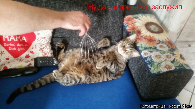 Ну да.., в принципе заслужил..... Котоматрица: Ну да.., в принципе заслужил..