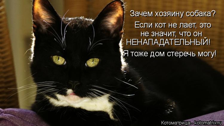 Зачем хозяину собака? Если кот не лает, это не значит, что он НЕНАПАДАТЕЛЬНЫЙ! Я тоже дом стеречь мог... Котоматрица: Зачем хозяину собака? Если кот не лает, это не значит, что он НЕНАПАДАТЕЛЬНЫЙ! Я тоже дом стеречь могу!