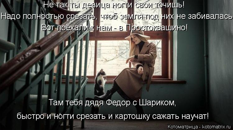 Там тебя дядя Федор с Шариком, быстро и ногти срезать и картошку сажать научат! Вот поехали к нам - ... Котоматрица: Там тебя дядя Федор с Шариком, быстро и ногти срезать и картошку сажать научат! Вот поехали к нам - в Простоквашино! Не так ты девица ногти св