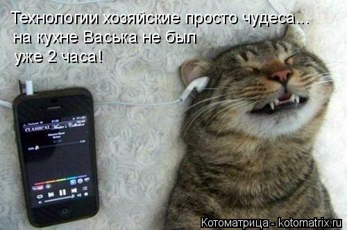 Технологии хозяйские просто чудеса... на кухне Васька не был уже 2 часа!... Котоматрица: Технологии хозяйские просто чудеса... на кухне Васька не был уже 2 часа!