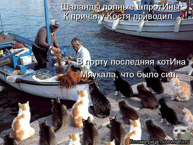 Шаланды полные шпротИны К причалу Костя приводил. В порту последняя котИна Мяукала, что было сил.... Котоматрица: Шаланды полные шпротИны К причалу Костя приводил. В порту последняя котИна Мяукала, что было сил.