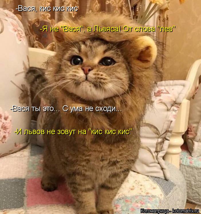 -Я не "Вася", а Львяса! От слова "лев" -Вася, кис кис кис -Вася ты это... С ума не сходи... -И львов ... Котоматрица: -Я не "Вася", а Львяса! От слова "лев" -Вася, кис кис кис -Вася ты это... С ума не сходи... -И львов не зовут на "кис кис кис"