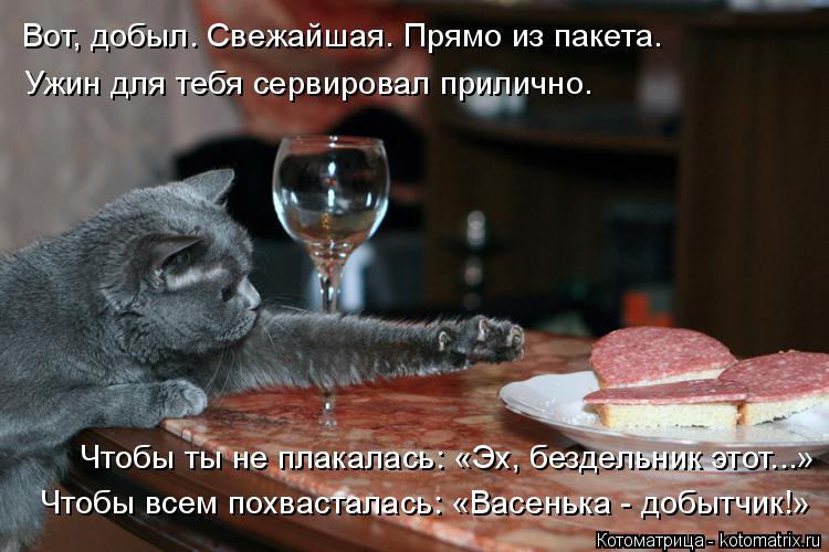 Вот, добыл. Свежайшая. Прямо из пакета. Ужин для тебя сервировал прилично. Чтобы ты не плакалась: «Эх... Котоматрица: Вот, добыл. Свежайшая. Прямо из пакета. Ужин для тебя сервировал прилично. Чтобы ты не плакалась: «Эх, бездельник этот...» Чтобы всем похваста?