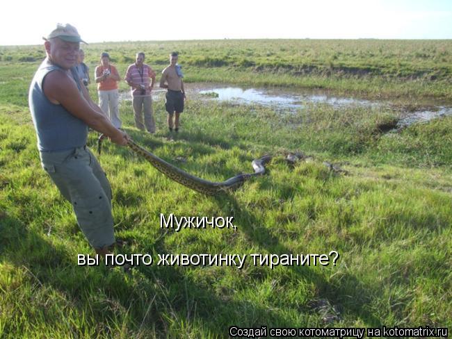 Мужичок, вы почто животинку тираните?... Котоматрица: Мужичок, вы почто животинку тираните?