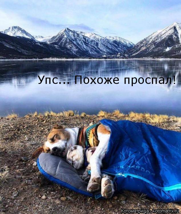 Котоматрица: Упс... Похоже проспал!