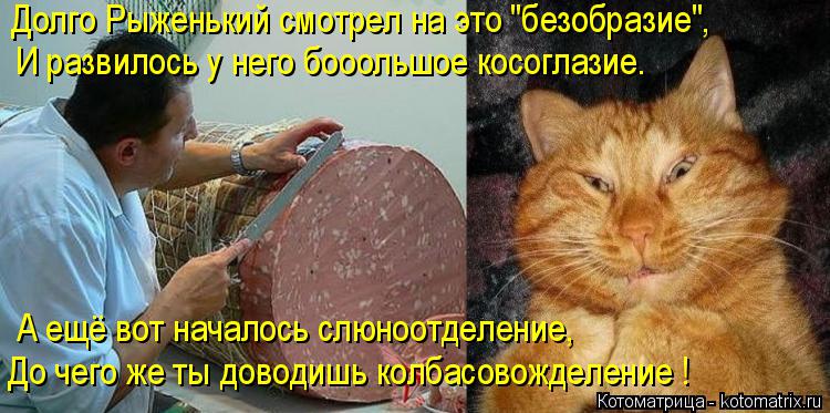 Котоматрица: И развилось у него бооольшое косоглазие. Долго Рыженький смотрел на это "безобразие", А ещё вот началось слюноотделение, До чего же ты довод?